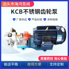 KCB齿轮式输油泵 厂家供应齿轮油泵 不锈钢微型泵 小型kcb齿轮泵