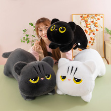 �羳�ɐ��L�lſ��؈�乫�д�����żŮ�����ϊA�ȱ������ჺͯ��ż