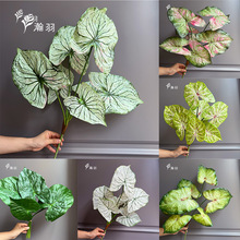 ���羳��؛������7������~�N�Ӵ��~�����pɫ��N���ļ����Ի���