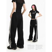 DESSUU lܗlylѝ\eѝWԺL̽logo@Lѝ