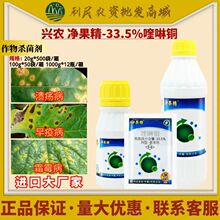 兴农 净果精-33.5%喹啉铜柑橘马铃薯早疫黄瓜霜霉杀菌剂农药