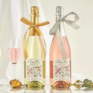 �t�ư����ݚ��ݾư����͹��ư����Ѿ�750ml�ɇ����ͶYŮ���W�t��