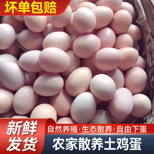 �������u���r��ɢ�B�u�����ӵ��F�����r�u�����ﱾ�u���I�B���ӵ�