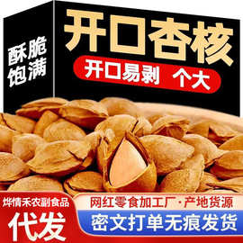 代发熟开口杏核250g 手剥年货坚果零食烘焙新小银杏开口杏核小龙