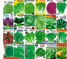 �߲˷N�ӷN���ѷN�·�8�����������m���ļ����춼���ԷN�Ĳ˴�ȫ