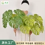 大叶跨境仿真商场绿植