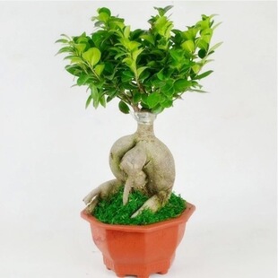 �ļ������ͺ��Ř����͘䘶�辰���҃�ֲ���˅���С�~�Ř����ԾGֲ