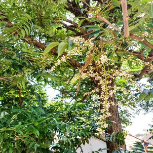 �㴻��N�Ӷ��������㴻�Ә仨���������������㴺�н��N��