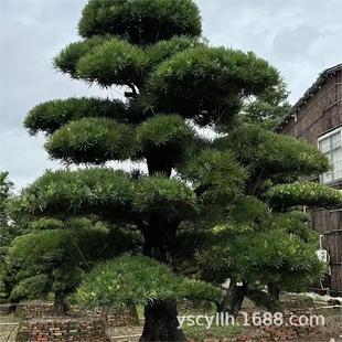 �_�h���ձ��_�h��̨���_�h�������_�h�����l5-60����