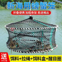 螃蟹笼海用可折叠蟹笼加粗加重弹簧笼子海边捕蟹网蟹笼海用抓螃蟹
