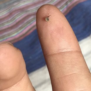 ΁ţ��������С΁ţ�����r���׃��@��ͯС�W�������濨Ƥ��������