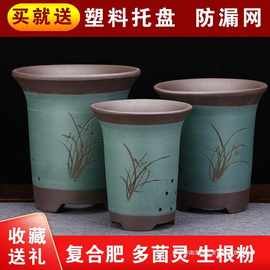 宜兴紫砂大口径兰花花盆陶瓷花盆君子兰多肉植物兰花盆栽古典
