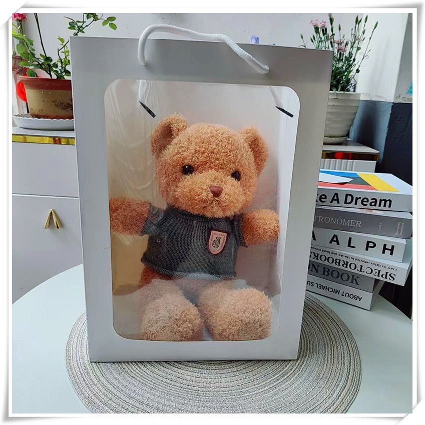 Teddy panda muñeca de peluche muñeca de tela muñeca abrazo oso almohada linda niña regalo de cumpleaños