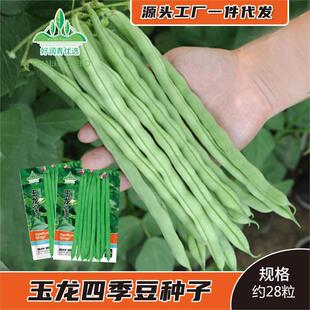 �t���ļ����N�Ӵ��＾���ǷN�ѾGɫܿ���ܶ�����v���춹���Ѳ˷N