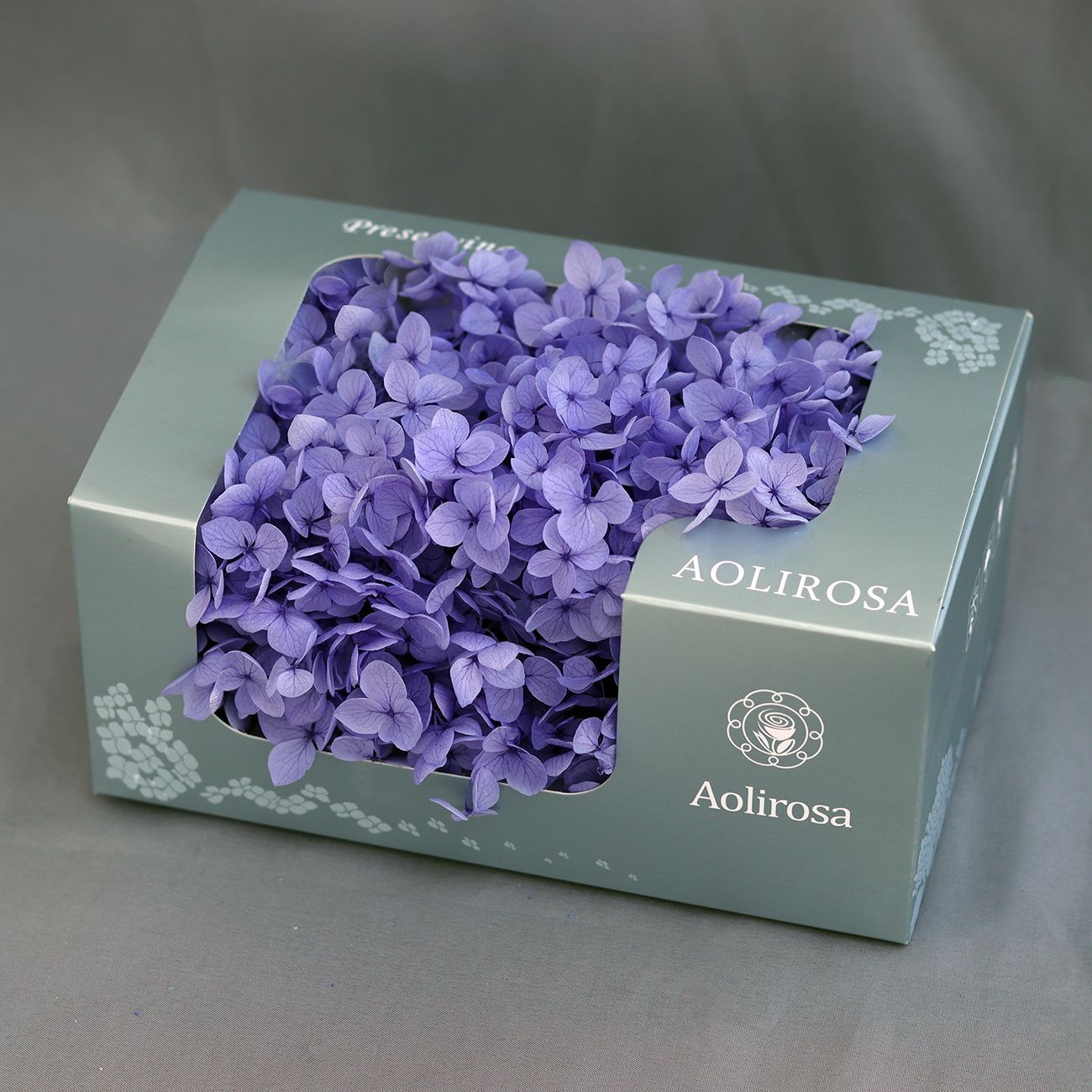 Grado A Anna Hortensia flor permanente flor seca Hortensia de hoja pequeña 20g Hortensia en caja fábrica al por mayor MATERIAL DE FLOR DE San Valentín