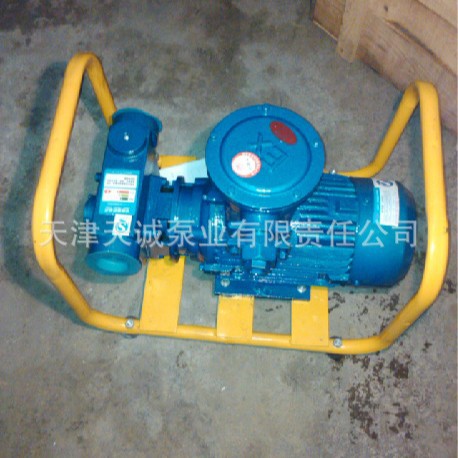 滑片泵YTB200/汽油泵/柴油泵/煤油泵/叶片泵/防爆泵/加油泵