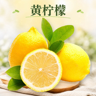 �Ĵ������S���� ���l1/2/3/5��Ƥ����֭����̲��Ʒ�r�����rˮ��
