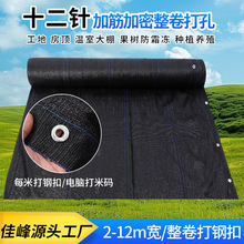 ʮ��ᘼ�ᘼ������������ꖾW ���ܘ��ͥԺ�̨��߅��׷���W