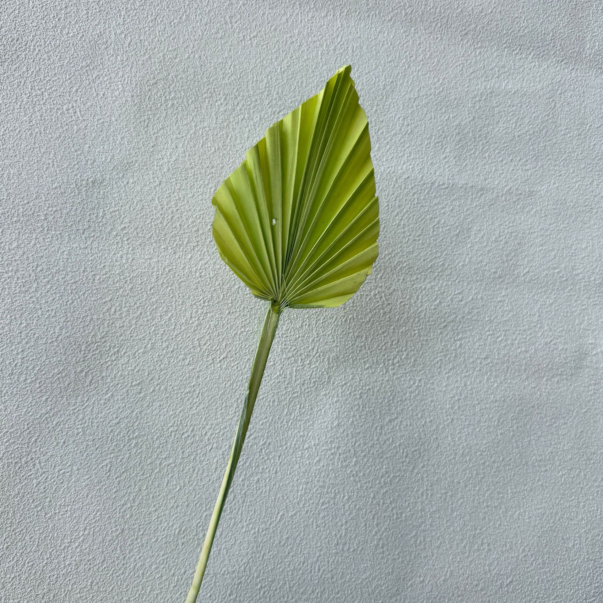 미니 잔디 녹색