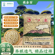 植金石兰花土日本原装进口栽培植料多肉用铺面种植绿植整包16升
