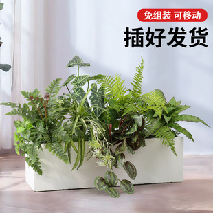 ��ػ�ˇֲ��Gֲ�쾰���۸��ྰ�^����M�ϼٻ������辰�b[��
