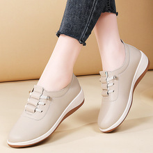 QԭγƤСЬŮţ׋һ_ŰٴeЬ