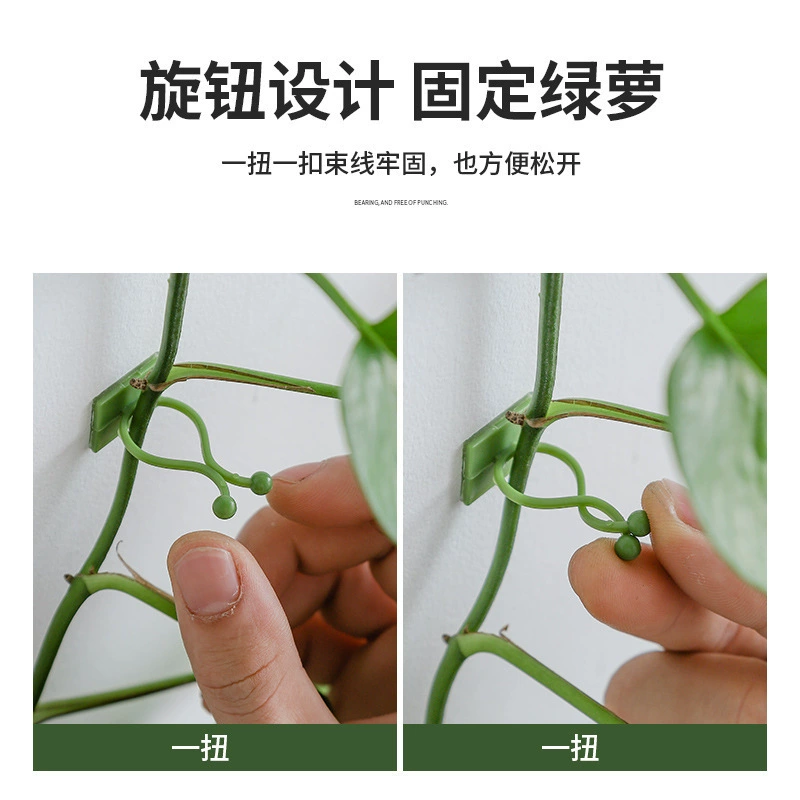 Wall Plant Fixer Green Looplasty — self-adhesive PP vine hooks, small/medium/large