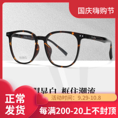 百世芬H1023B超轻眼镜框丹阳配镜近视眼镜男大框复古玳瑁镜架批发
