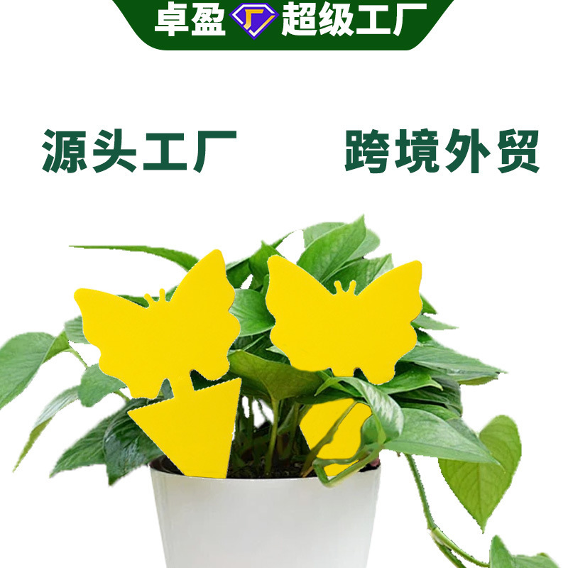 アマゾン輸出粘着式捕虫板特殊形状誘虫紙黄色両面粘着式捕虫板粘蚊・ハエ捕虫ランプ原産工場|undefined