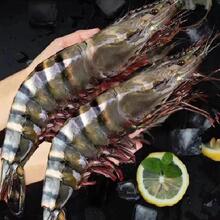 �ش�ڻ��r�r���ك������ϻ��r���r�����r�r�r���r�����߾Ź��r