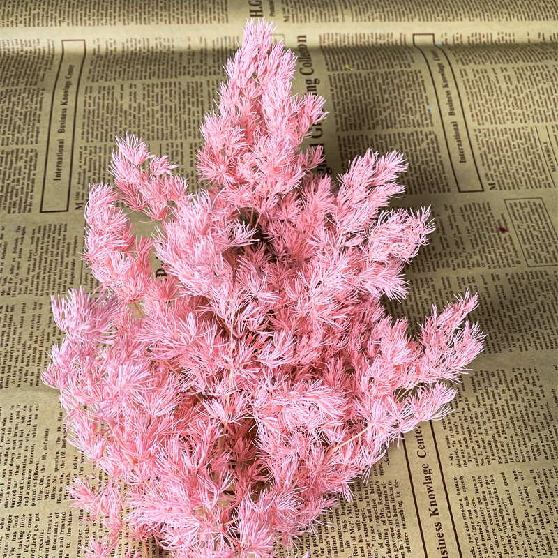 ♔永生花蓬莱松100克 花束居家 插花diy材料包节日居家装饰配材干