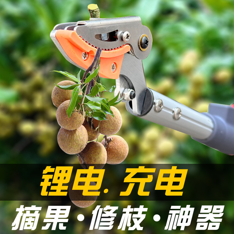 果树高枝弯头剪 高空延长采摘粗枝剪 园林修剪摘果粗枝两 用修枝