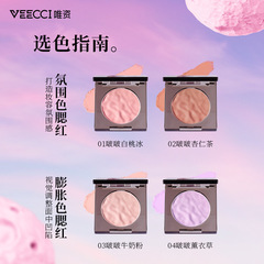 VEECCI唯資啵啵麻薯腮紅盤女持妝提亮氛圍色腮紅膏初學者批發