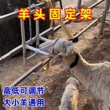 ��N���^���^�̶���늄���ë����ݔҺ�ߵͿ��{����������ë��̫��