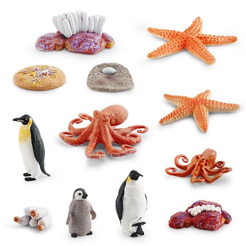 Simulación transfronteriza modelo de ciclo de crecimiento animal marino pulpo pingüino estrella de mar crecimiento transformación proceso decoración juguete