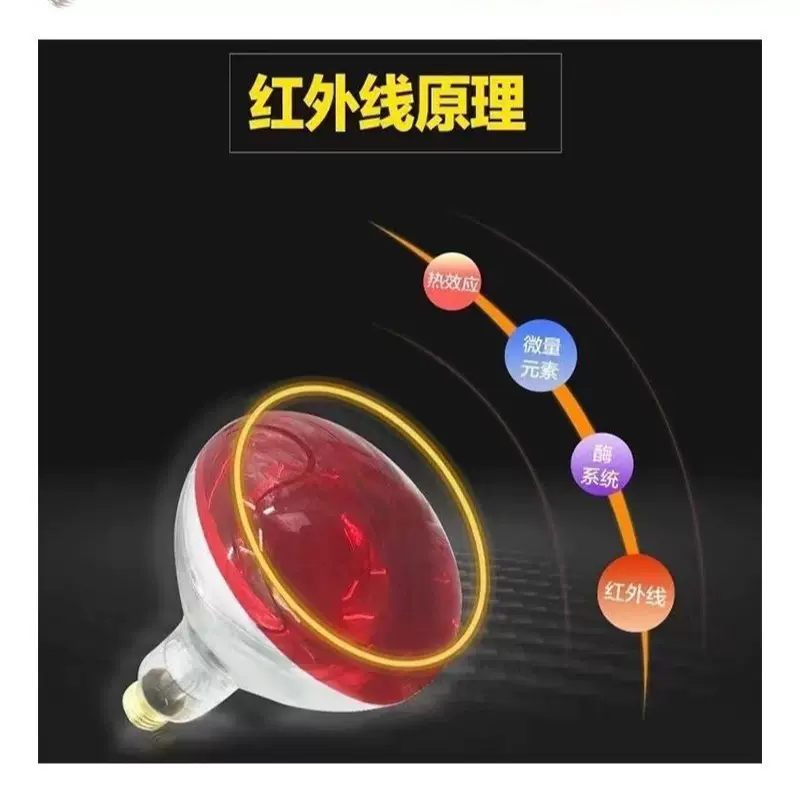 批发红外线理疗灯泡100w大功率烤电加热取暖理疗 美容 美肤