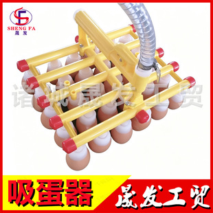 ��������� �a�����Ƶ��� �ֳִa���� ���P�ϵ��� �����D����