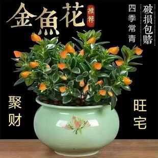 �ļ����~�����m�����҃Ȼ��ܶ���ֲ��G�}�lؔ����B�͏d�Gֲ����