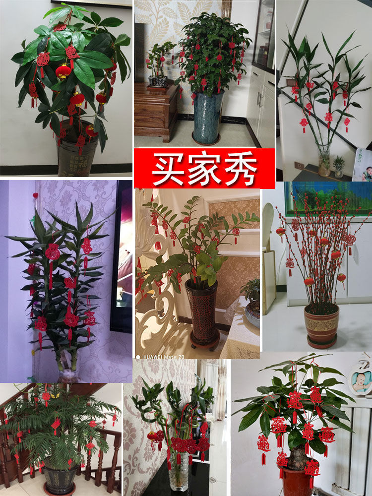 310ea4f9-0165-4ab7-a9ac-ce9d2dbe65e1.jpe