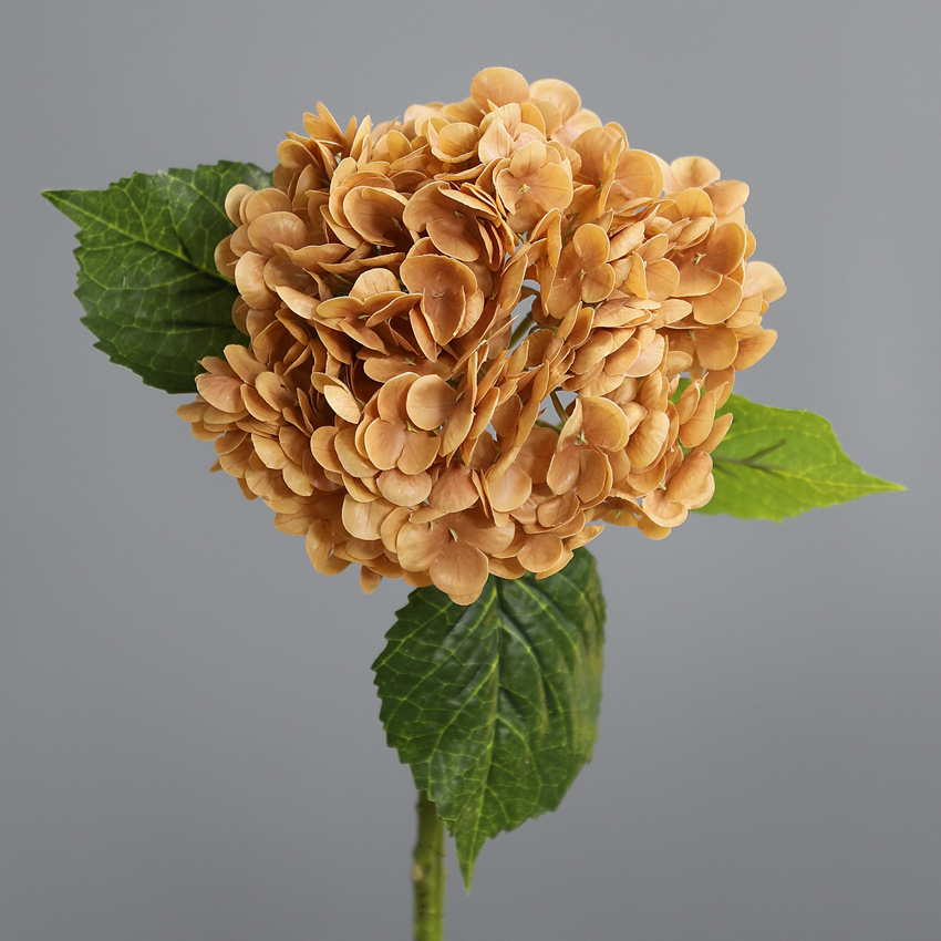 YL3 머드 옐로우