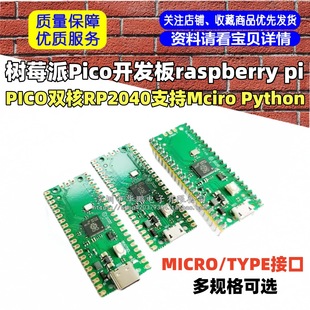 Raspberry Pi Pico Development Board Raspberry Pi Pico Dual-Core Rp2040 Supports Mciro Python