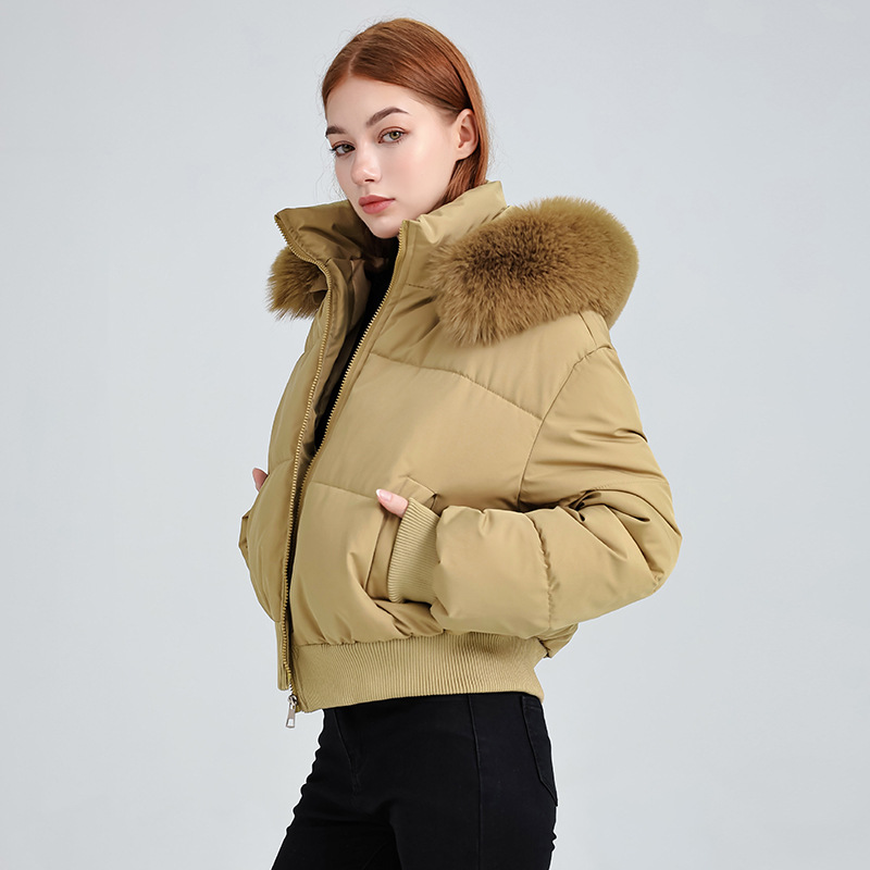 Europa y los Estados Unidos comercio exterior azul tibetano sensación de diseño encapuchado algodón cuello de invierno nuevo algodón corto chaqueta de pan