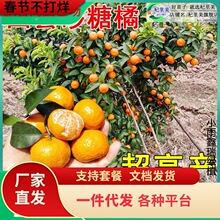 һ�����l�ĕ�ɰ����ɳ�ǽ��������ټ޽ӏV�|���Ե��Թ�����ٸ̽�