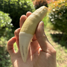 ߷ϻְѼ֬Ƿۺϳɴ؈ˇƷS