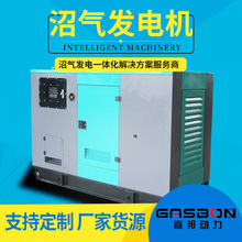50KW100ǧӚl늙CO 200kwBֳӚl늙CS