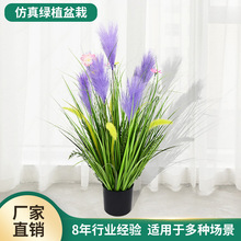 仿真芦苇假花盆栽办公室桌面仿真绿植摆件仿真植物园林绿化盆景