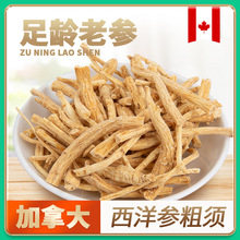 加拿大西洋参须批发量大优惠 精选花旗参粗须煲汤炖煮泡酒