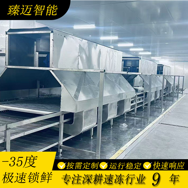 定制冲击式速冻机 巴沙鱼块对虾对流风冷式20-40分钟快速冷冻设备