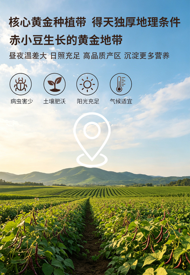 Cooked Adzuki Bean Powder Chi Xiao Dou Bulk Meal Replacement Grain Powder 500g preparation