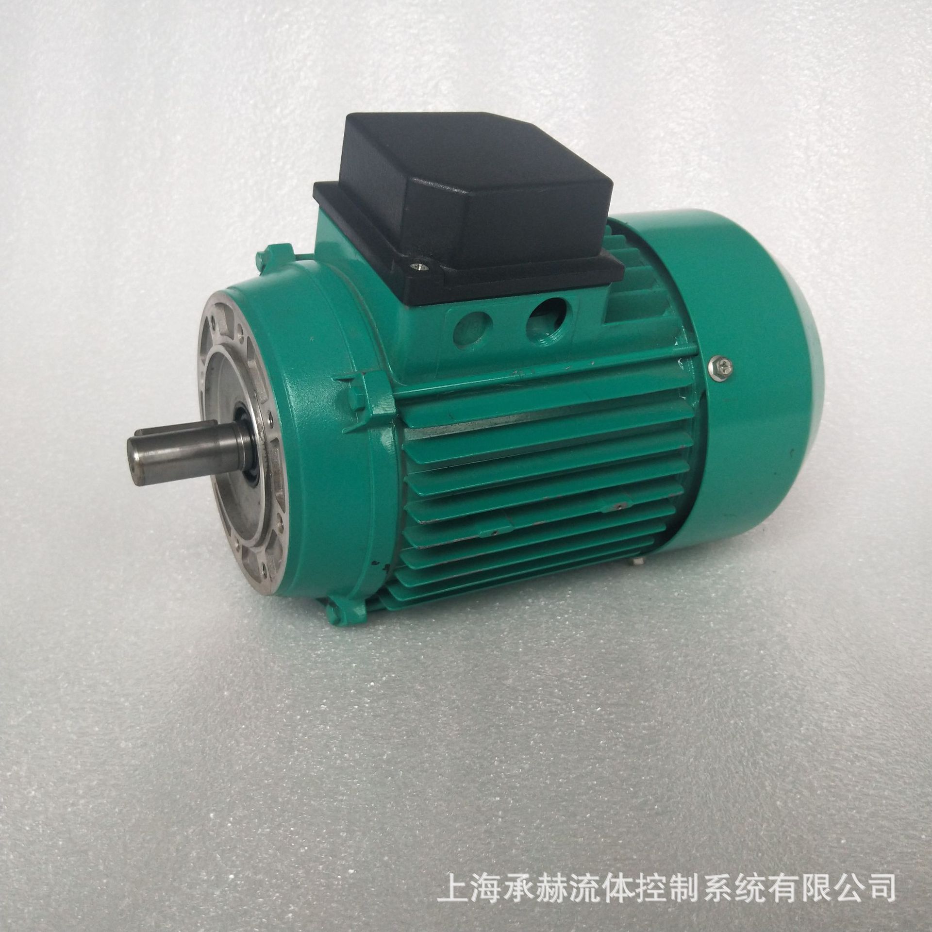 德国威乐水泵配件 WILO水泵电机 MVI-811电机 MVI系列水泵